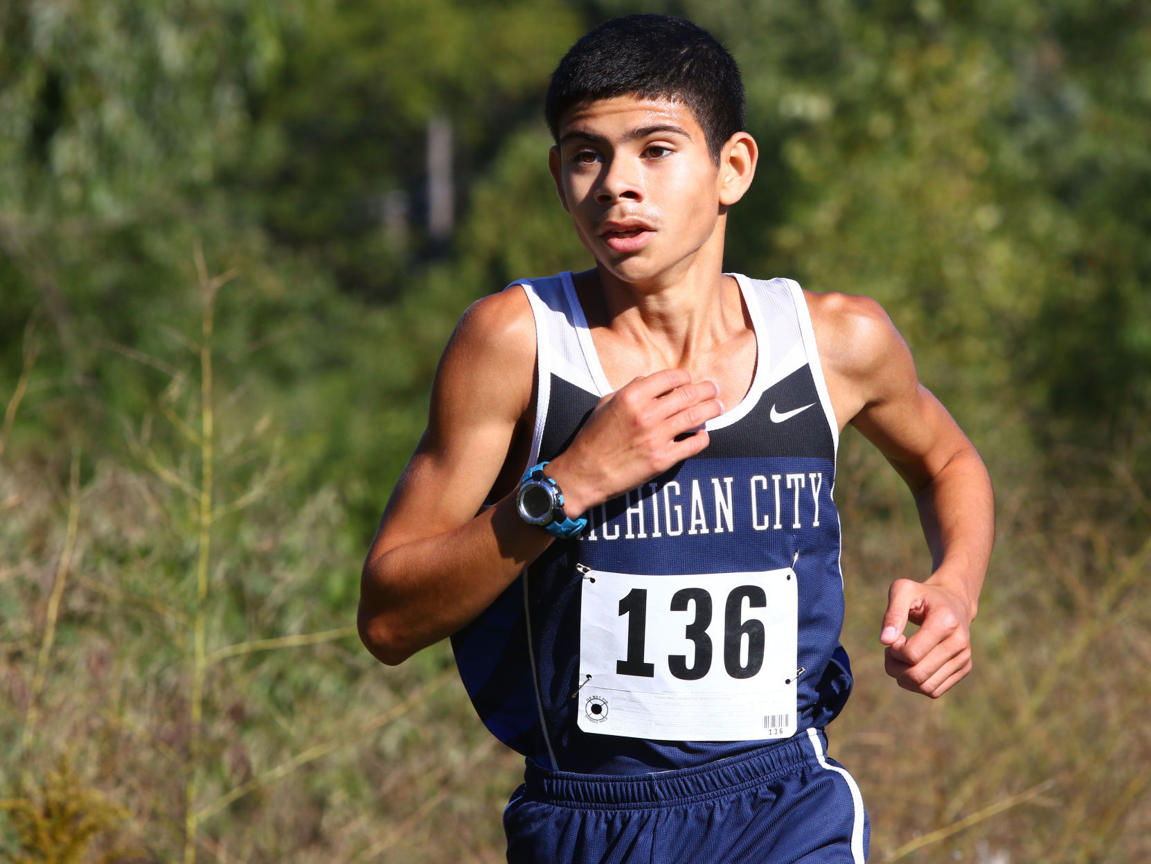 Gallery: Duneland Athletic Conference cross country meet